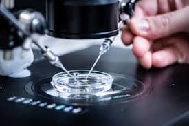Embriyo Genetiği Nedir? Genetik Tarama Testi Fiyatları