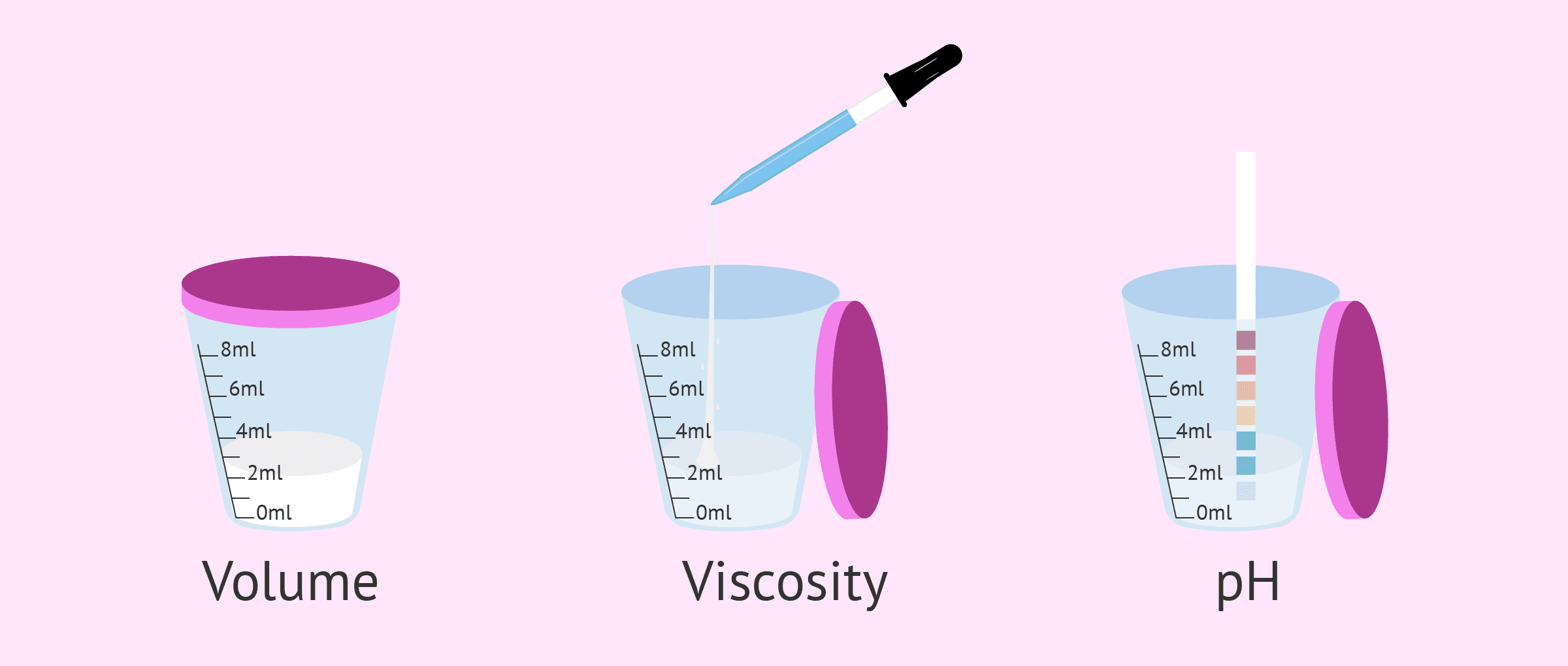 Sperm Testi Nedir? Sperm Testi Nasıl Verilir?