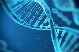 Embriyo Genetik İncelemesi Hangi Durumlarda Önerilmektedir?