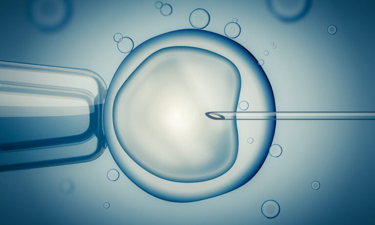 Embriyo Transferi Nedir? Dondurulmuş Embriyo Transferi Nedir?